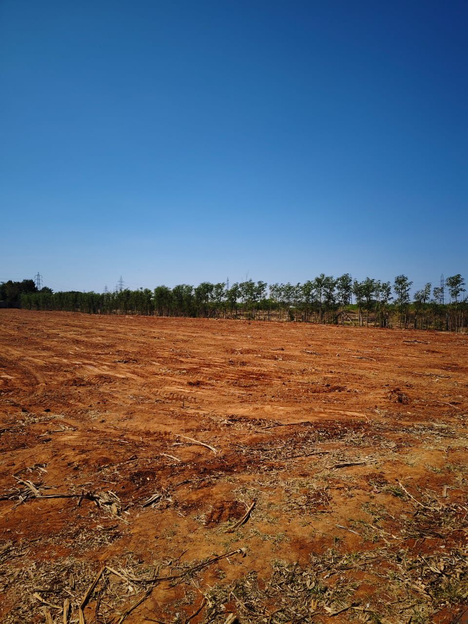  2 acre residential converted Property for Sale – Gowribidanur 🏡